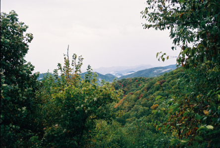 [A valley view with a lot of tall greenery in the foreground and smoky mountains in the distance. There are a few trees with yellowish leaves, but most are still fully green.]